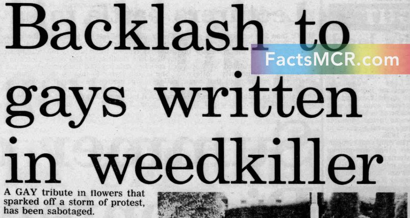 News headline: backlash to gays written in weedkiller